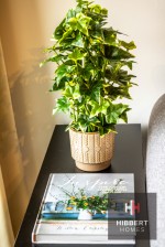 Images for Chapel Street, Fresh, M3