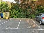 Images for The Pines, Sale, M33
